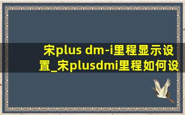 宋plus dm-i里程显示设置_宋plusdmi里程如何设置
